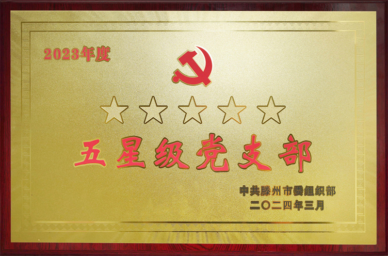 金五星黨支部.jpg